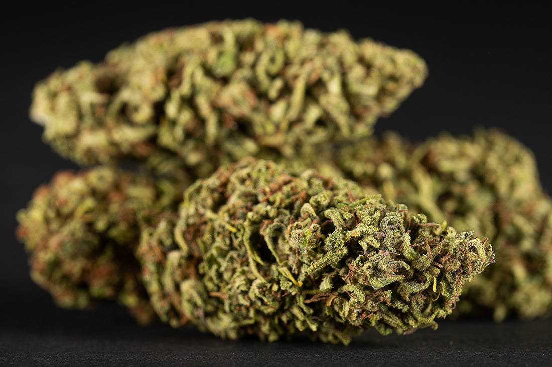 Understanding the Impact and Benefits of THCA Flower in the Legal Cannabis Industry