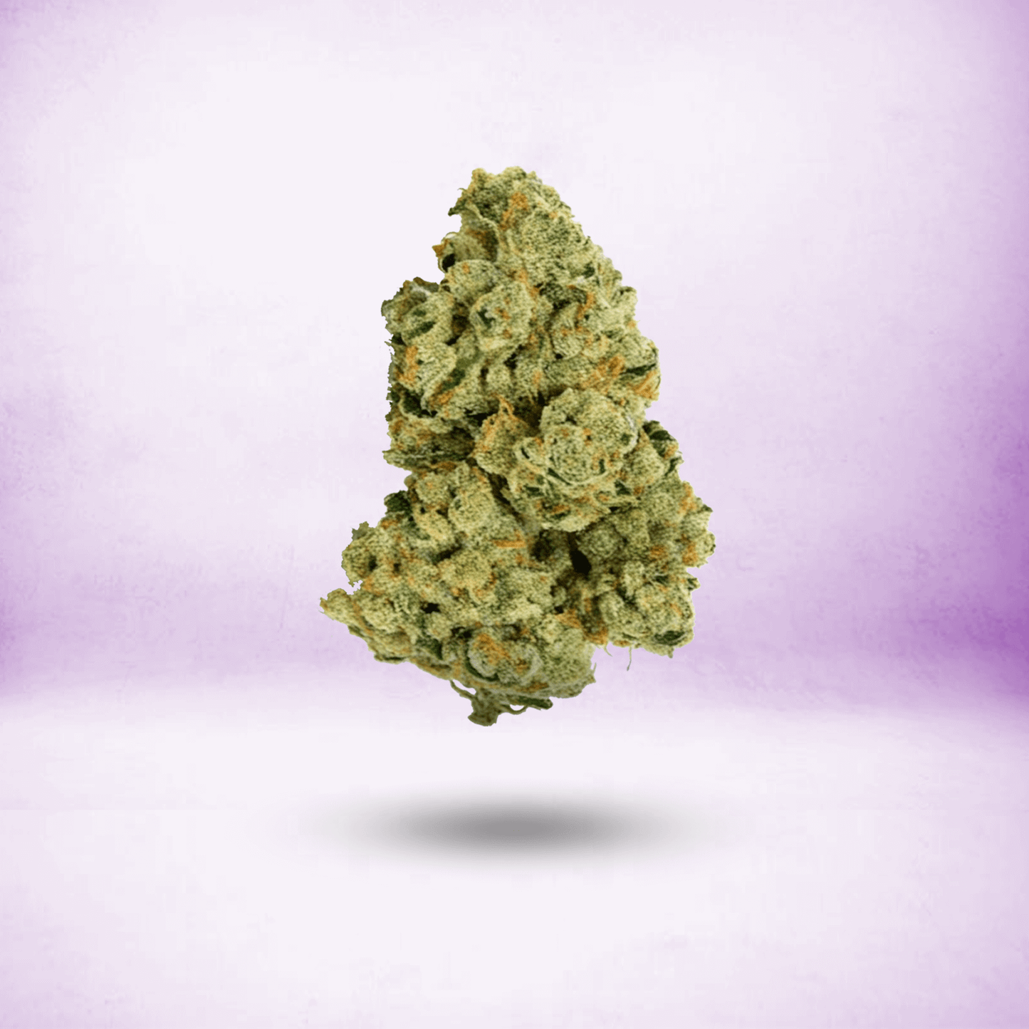 TOP SHELF THCA FLOWER • INDICA • DONNY BURGER