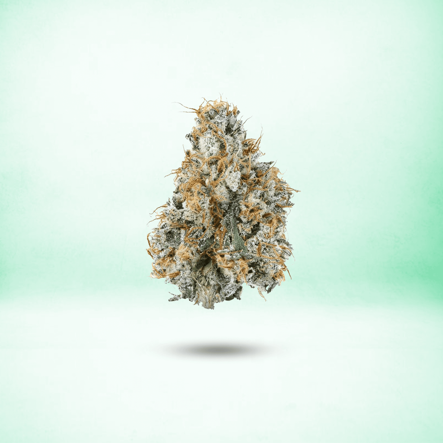 EXOTIC THCA FLOWER • HYBRID • GARY PAYTON