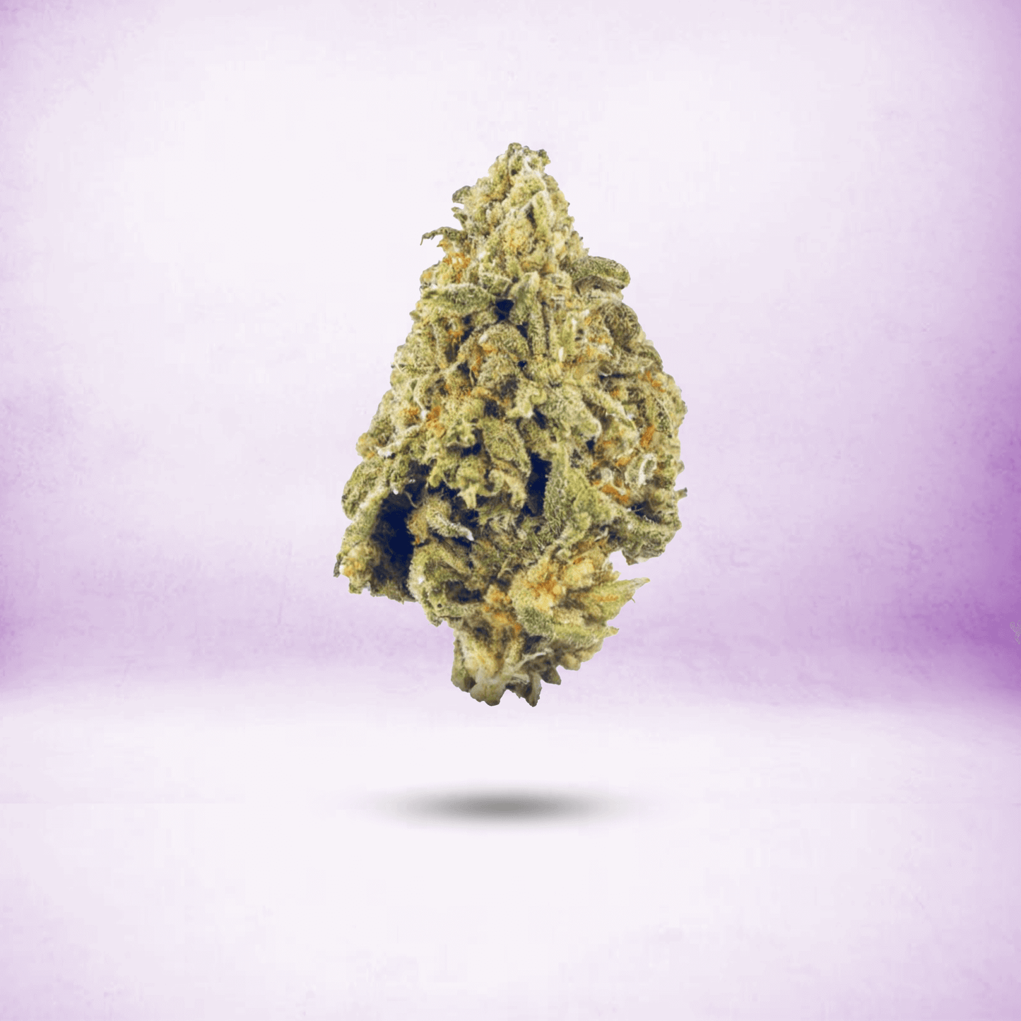 TOP SHELF THCA FLOWER • INDICA • JEALOUSY X KUSH MINTS