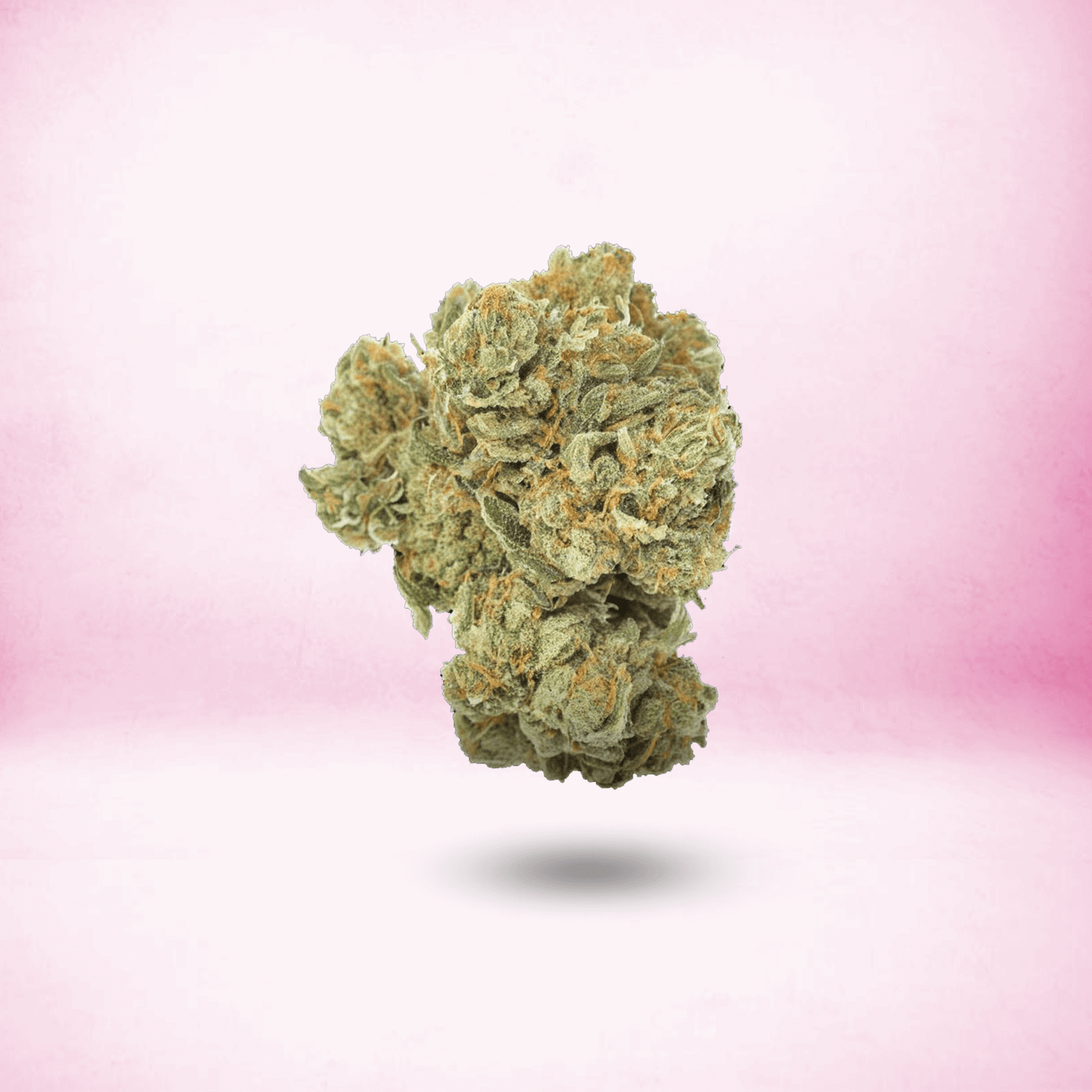 TOP SHELF THCA FLOWER • SATIVA • MAUI WAUI