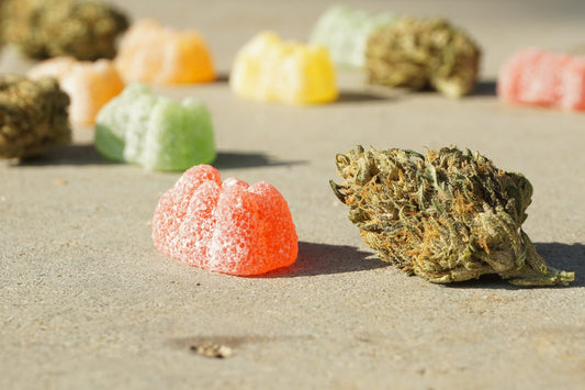 A Comprehensive Guide to Hemp Gummies: Benefits, Usage, and Buying Tips