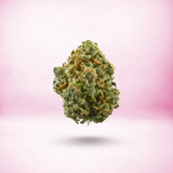 Sherbanger - Sativa - Exotic THCa Flower