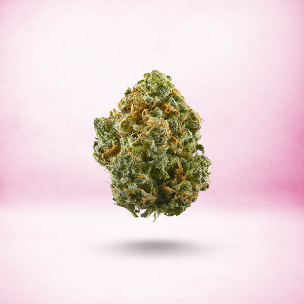 Sherbanger - Sativa - Exotic THCa Flower