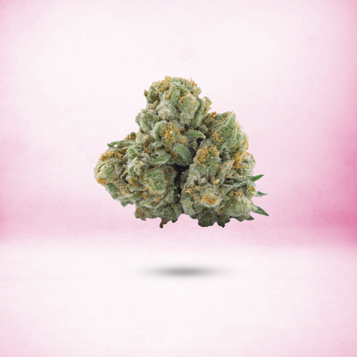 Starburst - Sativa - Everyday Fix THCA Flower