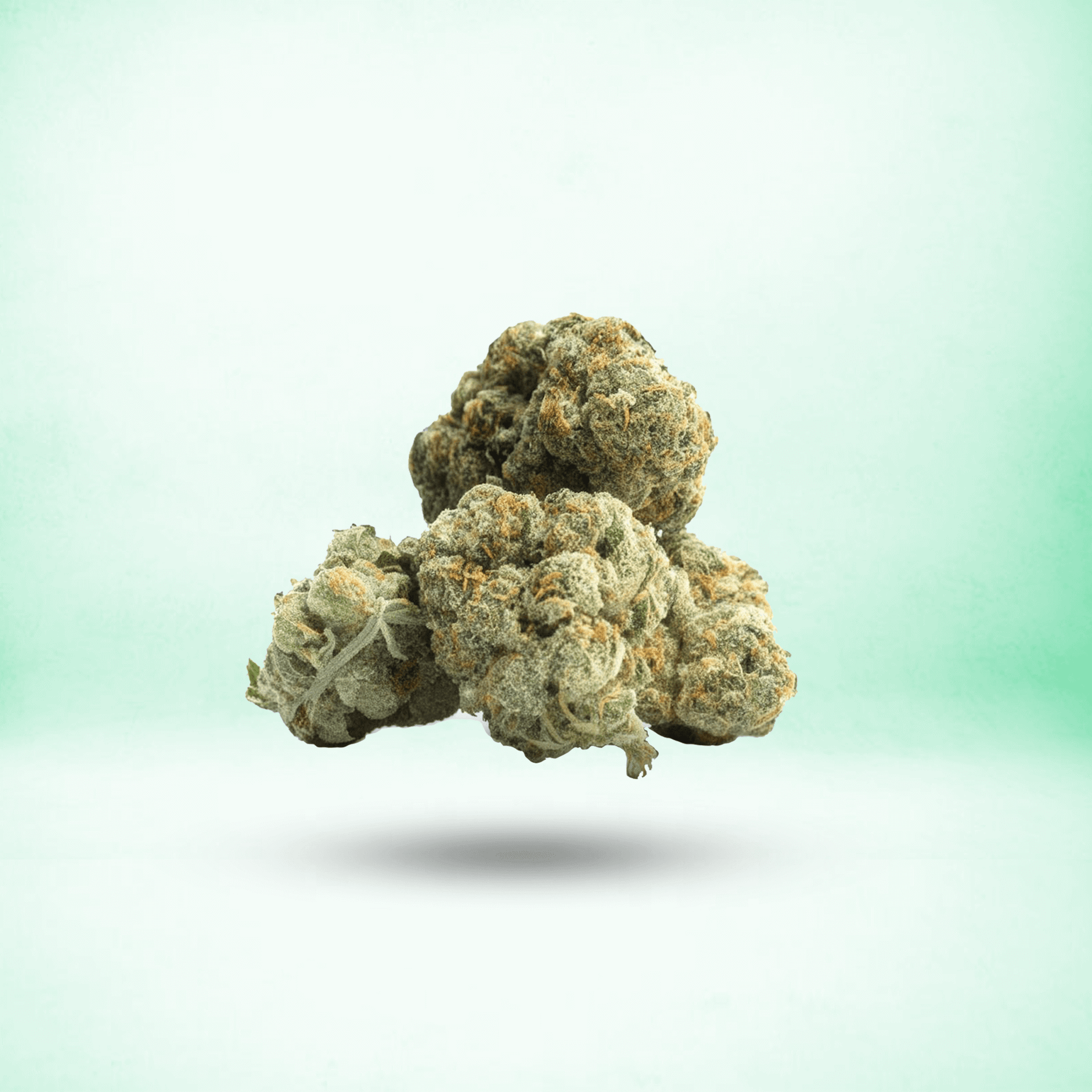 TOP SHELF THCA FLOWER • HYBRID • THIN MINT – Creator Made